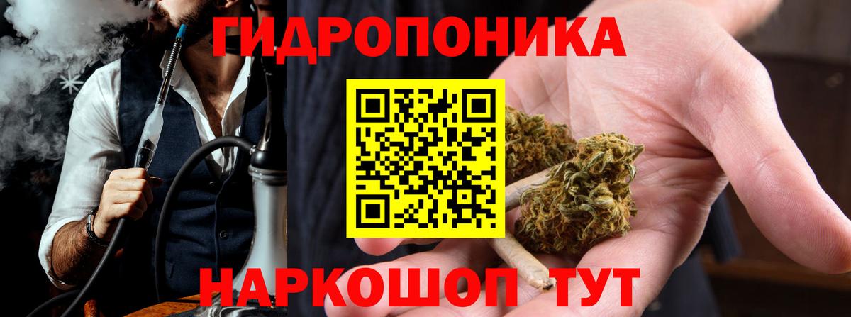 Бошки Шишки план Борисоглебск